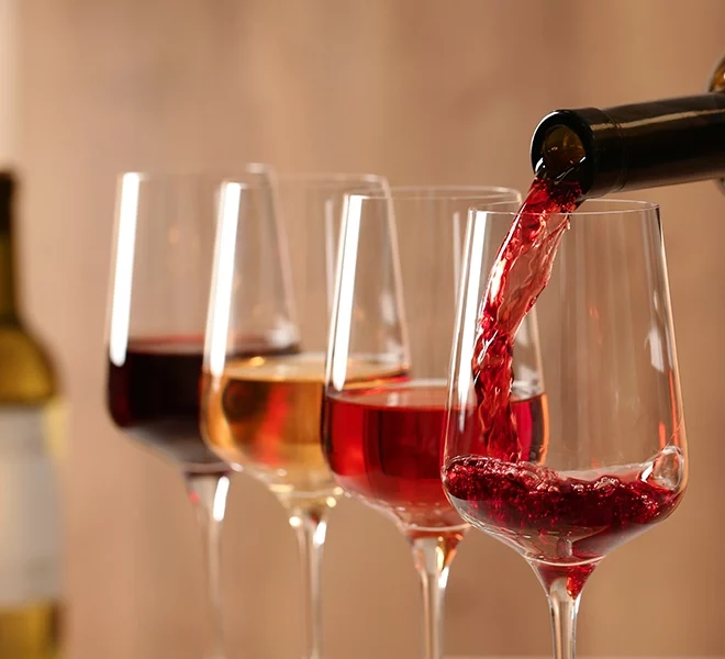 dégustation de vins