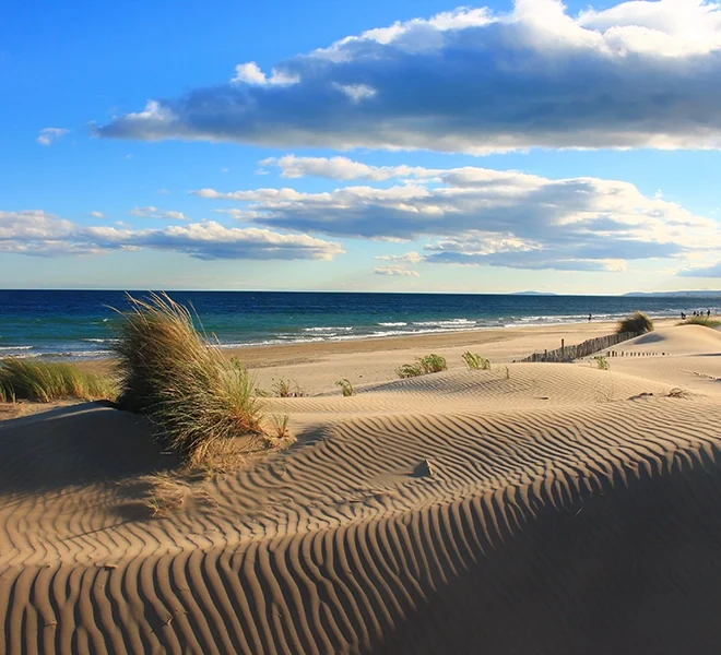 plages sauvages de l’Espiguette